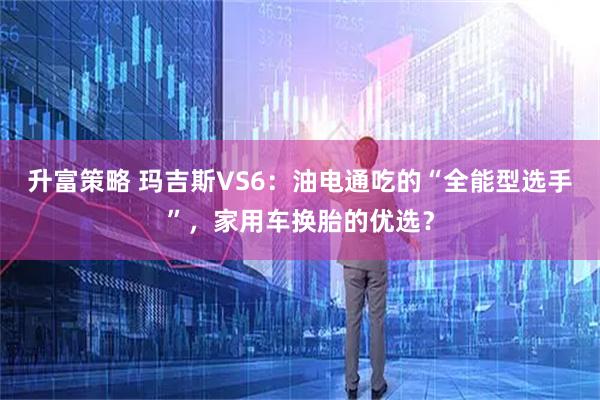 升富策略 玛吉斯VS6：油电通吃的“全能型选手”，家用车换胎的优选？